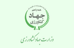 تشکیل ش...